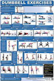 Dumbbell Exercises Chart Lower Body Core Chest Back