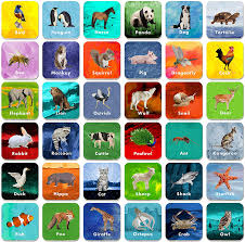 You will find below, a large range of matching games suitable for adults, impossible to be bored!the cards can be pictures, photographs. Toys Games Card Games Matching Game Remembering Games Memory Cards Animal Cards Memory Game Educational Kids Animal Games Animals Fun Games Memory Match