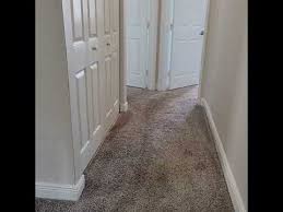 miami by keep it clean carpets and tile