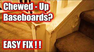 How to Repair Damaged Baseboards | DIY Repair Damaged Trim | Fix Pet Damage  | Dog Chewed Trim Repair - YouTube