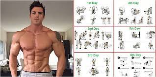 total body workout routine and how to