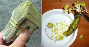 how-expensive-is-real-wasabi