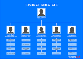 32 organizational chart templates word