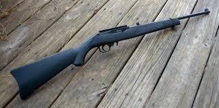 a ruger 10 22 air in every home