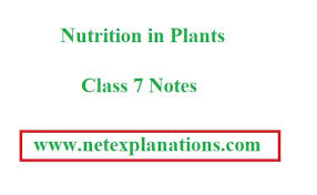 Pdf Cbse Notes Nutrition In Plants