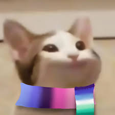 4k ultra hd 8k ultra hd. Here Is A Omni Mlm Pfp Pop Cat For People To Use Omnisexual