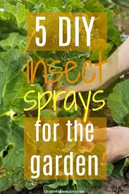 5 diy bug sprays for the garden