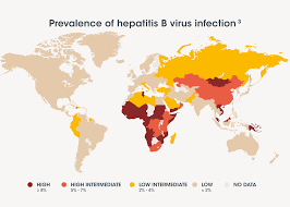 Hepatitis is the name of a group of diseases that affect the liver. Hepatitis B Sanofi