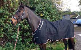 a stylish cooler rug your horse will