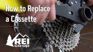 Bike Maintenance: How to Replace a Cassette - YouTube