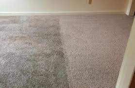 carpet cleaning for mold and mildew in