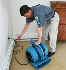 carpet cleaning ultrasteam cleaning