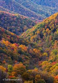 The birth of the appalachians. Appalachian Smoky Mountains Smoky Mountains Colors Smoky Mountains National Park North Carolin Smoky Mountain National Park Smoky Mountains Autumn Scenery