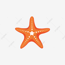 Starfish Chart Hand Painted Level Ocean Png And Vector