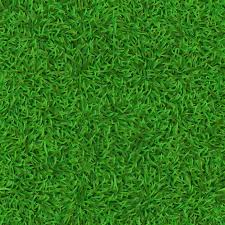 realistic seamless green lawn gr