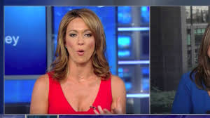 Baldwin, who joined cnn in 2008, made the announcement at the top of the 3 pm hour, reflecting on her years. Brooke Baldwin Cnn S Wiki Today Affair Married Spouse Net Worth