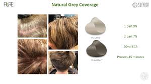 Pure Hair Color Certification At Surface Hair Saskatchewan