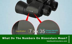 Binoculars Basic For Beginer Best Buy Binoculars