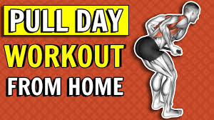 home back biceps workout no equipment