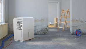 Install Dehumidifiers For Moisture