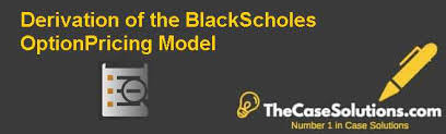 Black Scholes Option Model Case