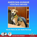 www.americanhumane.org/app/uploads/2021/08/Shelter...