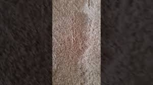 repairing matted carpets high traffic