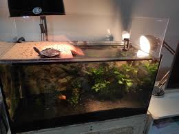 My experience with a DIY above the tank basking area made of