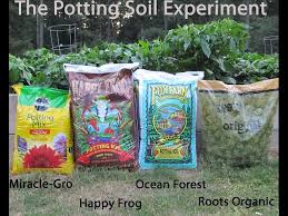 happy frog potting soil experiment