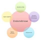 Résultat de recherche d'images pour "endométriose"