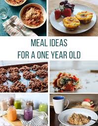 healthy recipe ideas for a one year old