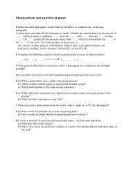 photosynthesis questions