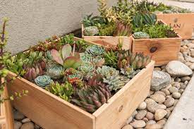 Succulent Garden For Small Spaces