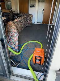 carpet cleaning sanitizing and pad