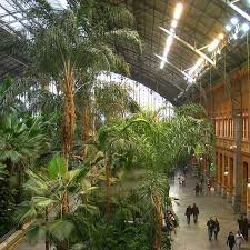 Atocha Station Tropical Garden Madrid
