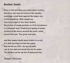 brother poem by robert ronnow
