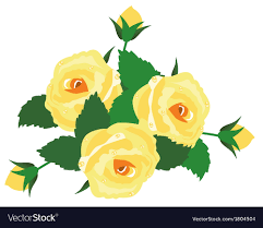 yellow rose royalty free vector image