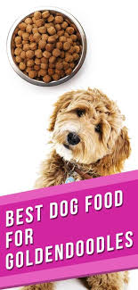 Different dog breeds don't have significantly different nutritional needs. Best Dog Food For Goldendoodles To Keep Them Happy And Healthy