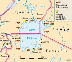 Road map of lake tanganyika, africa shows where the location is placed. Maps Southern Africa Physical Map Diercke International Atlas