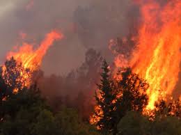 Η φωτιά τώρα έχει φύγει από εκεί, πέρασε απέναντι στην μητροπολίτου και έχει μπει στο κόκκινο χωράφι καίει δάσος αυτή την ώρα. Fwtia Sthn Korin8ia Poly Dyskolh H Katastash Energopoih8hke 3ana To 112 Nea Ekkenwsh Oikismwn In Gr