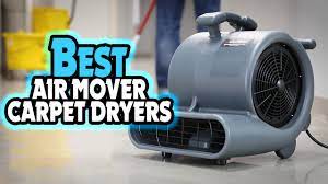 top 5 best air mover carpet dryers in