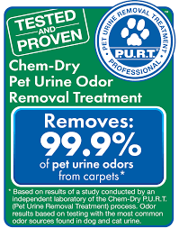 pet urine odor removal chem dry of