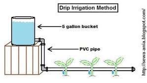 Drip Irrigation Diagram To Achieve The Drip I Think I Can