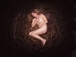 Why are people posing nude in this giant bird nest New York Post
