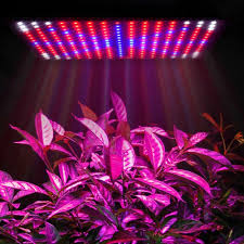 Details About 1500w 225 Led Grow Light Uv Growing Lamp For Indoor Plants Hydroponic Plant Lamp