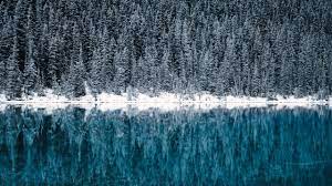 lake louise wallpaper 4k winter cold