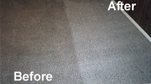 maintain a clean carpet with the right
