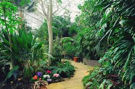 fairchild tropical botanic gardens