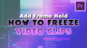 add frame hold premiere pro tutorial