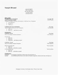 Resume Language Skills Example For Each Type Of
